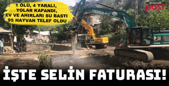 AFAD Kriz Merkezi Erzurum’da selin faturasını çıkardı