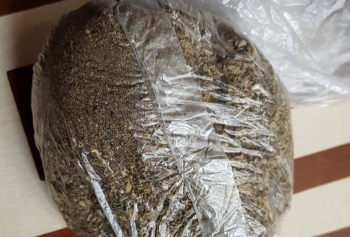 Erzurum’da 1 kilogram bonzai ele geçirildi 