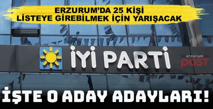 Erzurum'da İYİ Parti'den kimler aday adayı oldu?