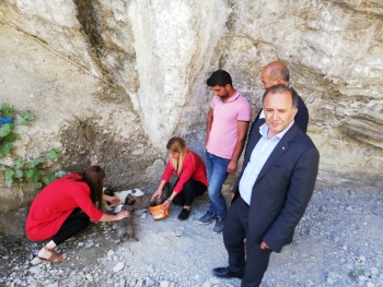 Hayvanlara kötü muamelede bulunan belediye personele adli işlem