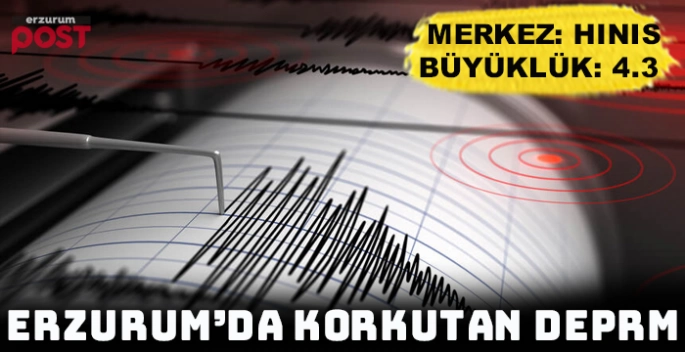 Hınıs ilçesinde 4,3 büyüklüğünde deprem