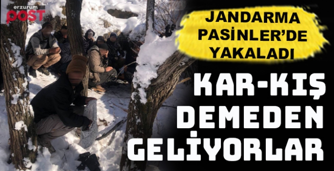 Pasinler'de 12 düzensiz göçmen yakalandı