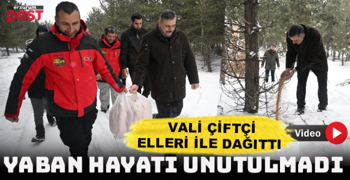 Vali Çiftçi birlikte yaban hayvanları için doğaya yem ve yiyecek bıraktı 